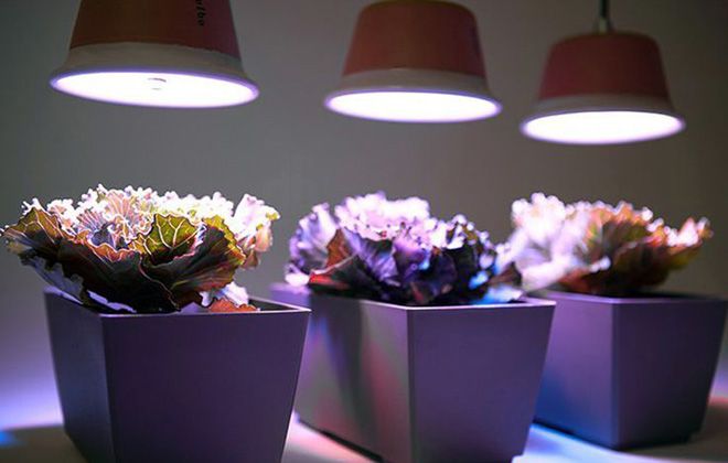светильники для растений светильники для растений