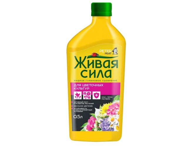 чем удобрять лиатрис колосковый чем удобрять лиатрис колосковый