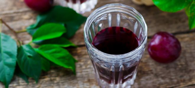 наливка из замороженной сливы наливка из замороженной сливы