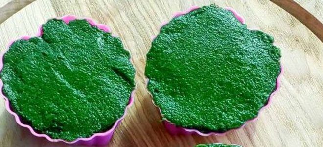 пюре из шпината на зиму пюре из шпината на зиму