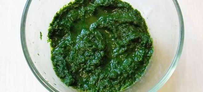 паста из шпината на зиму паста из шпината на зиму