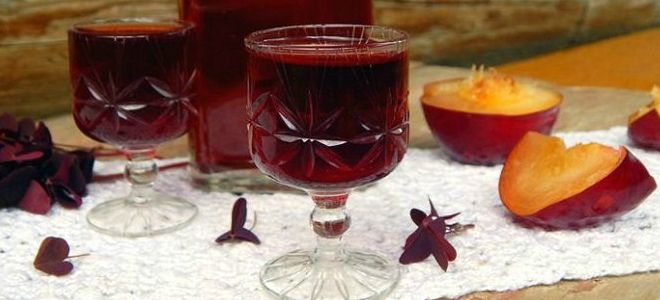 пряная наливка из сливы пряная наливка из сливы