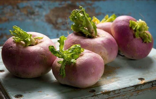 турнепс описание турнепс описание