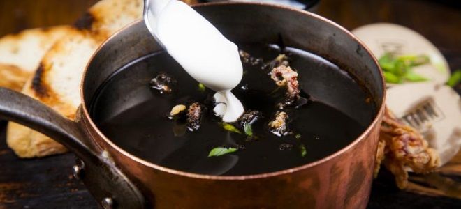 борщ с чернилами каракатицы борщ с чернилами каракатицы