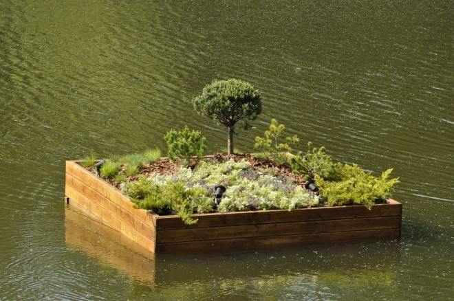 Плавающие клумбы Плавающие клумбы