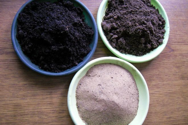 земля для каланхоэ каландива земля для каланхоэ каландива