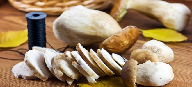 как подготовить грибы к сушке