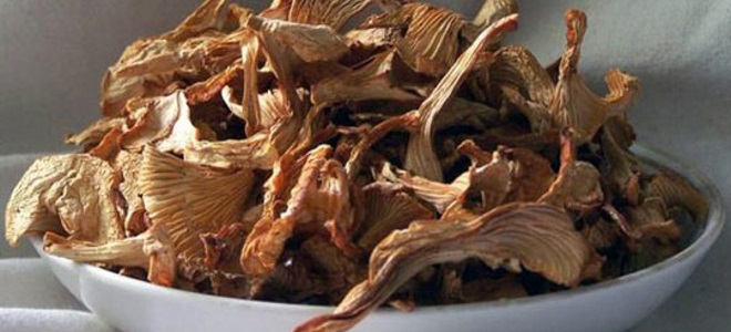 как сушить грибы