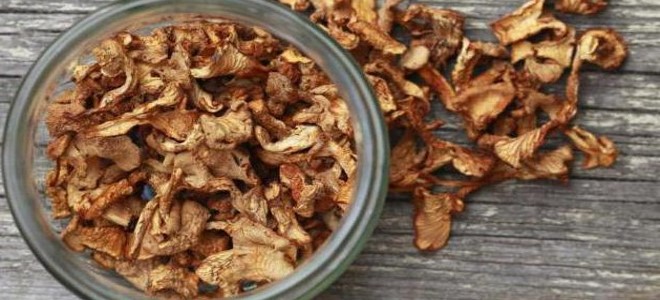 как сушить грибы