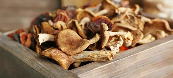 как сушить грибы