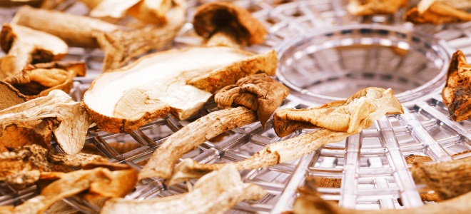 как сушить грибы