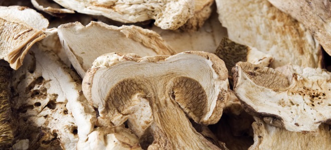 как сушить грибы