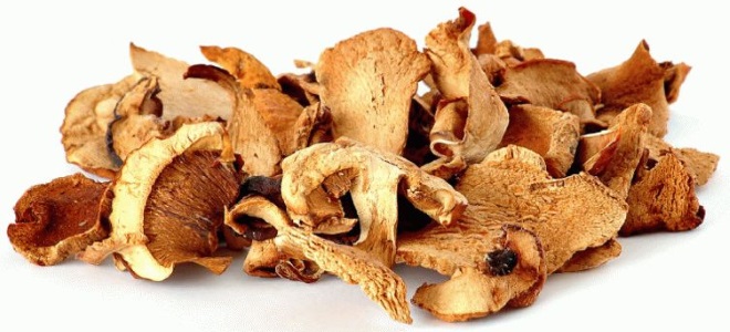 как сушить грибы