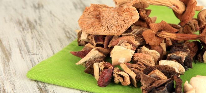 как сушить грибы