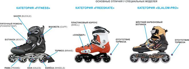 какие ролики выбрать