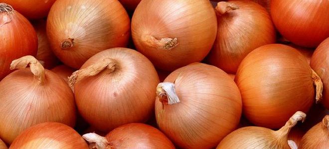 лечение насморка луком