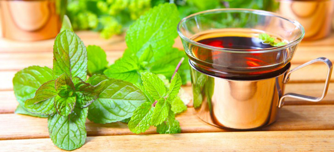 мелисса при менопаузе