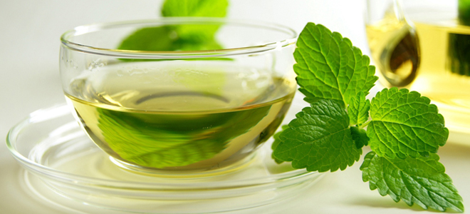 мелисса состав