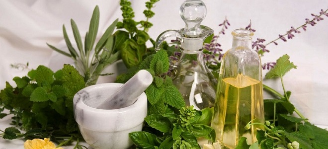 народные средства от геморроя1