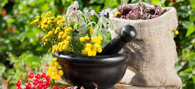 народные средства от геморроя2