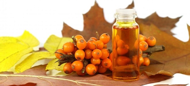 народные средства от геморроя3