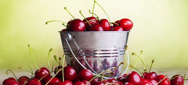 полезные свойства черешни