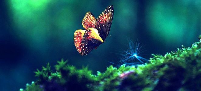 просветленные люди