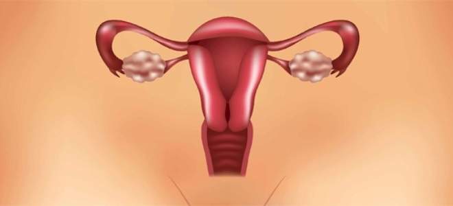 спкя лечение