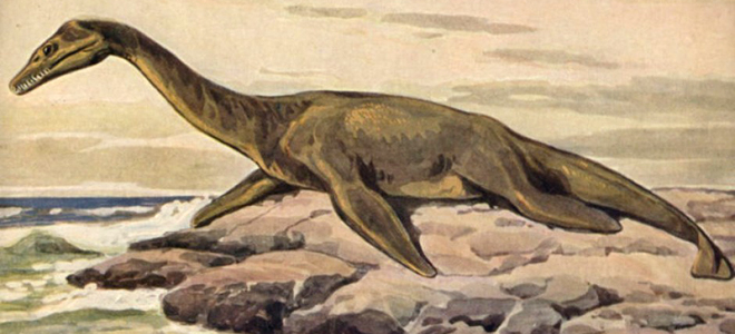 существует ли лохнесское чудовище