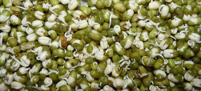 зеленая гречка полезные свойства3