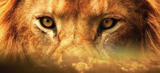 знак зодиака лев